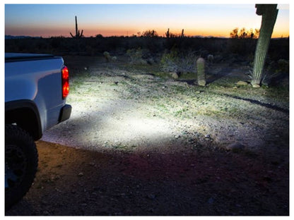 Innovative Creations Inc Magnum Rear Bumper 15-18 Colorado w/Lite
