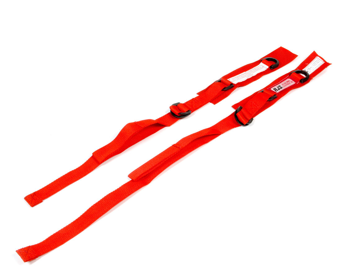 RJS Racing Equipment Red Arm Restraints RJS11000304