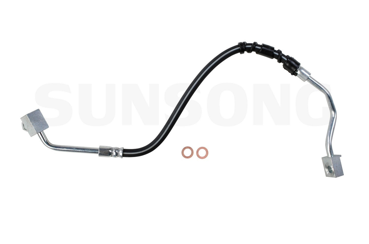 sunsong bhb1  frsport 2201266