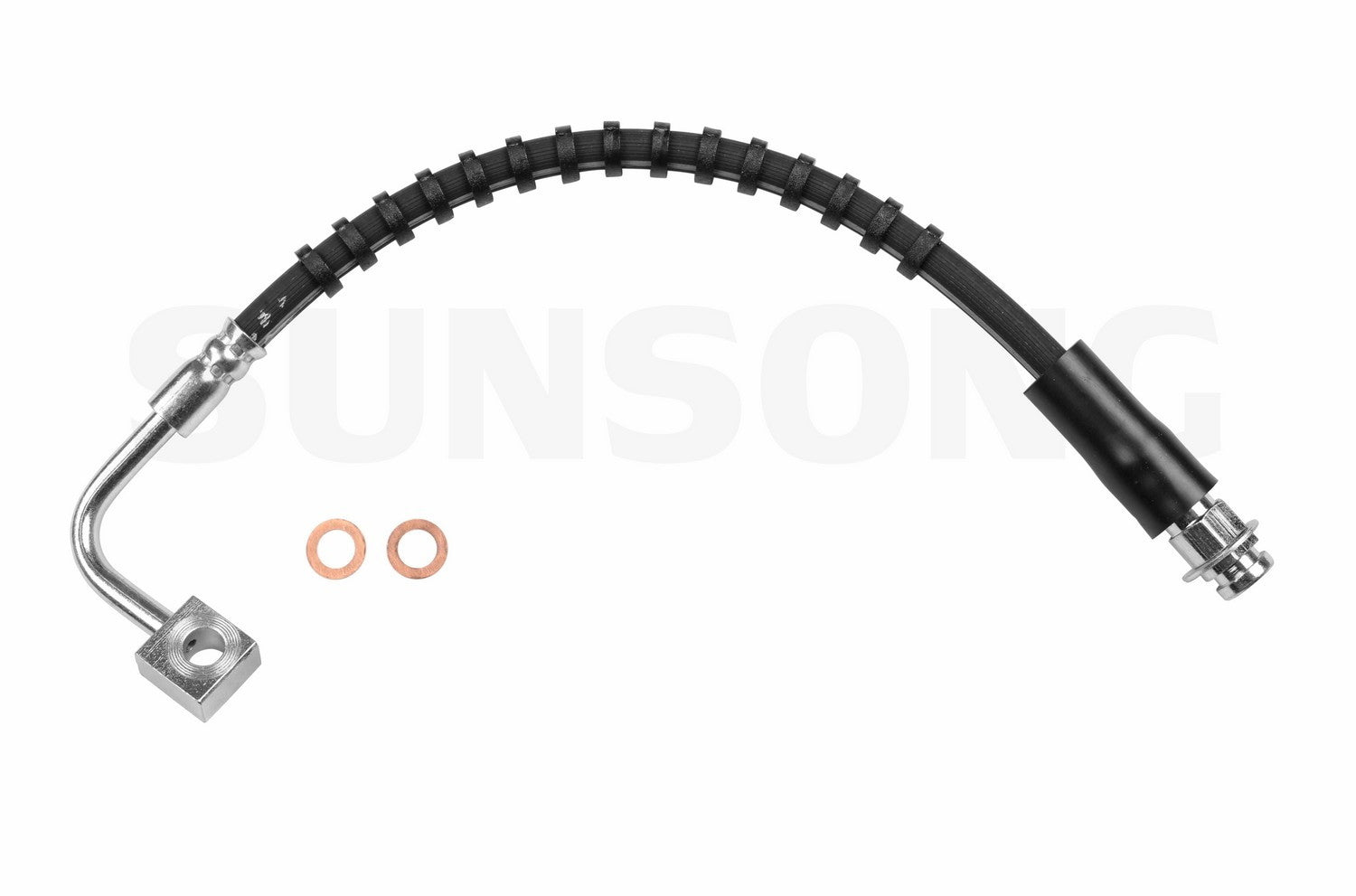 sunsong bhb1  frsport 2202767