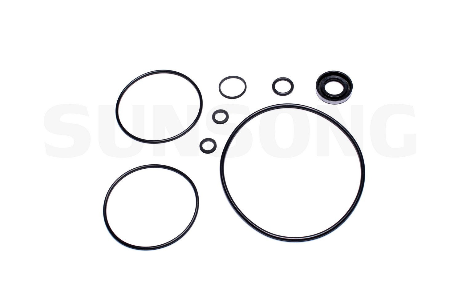 Sunsong Power Steering Pump Seal Kit  top view frsport 8401019