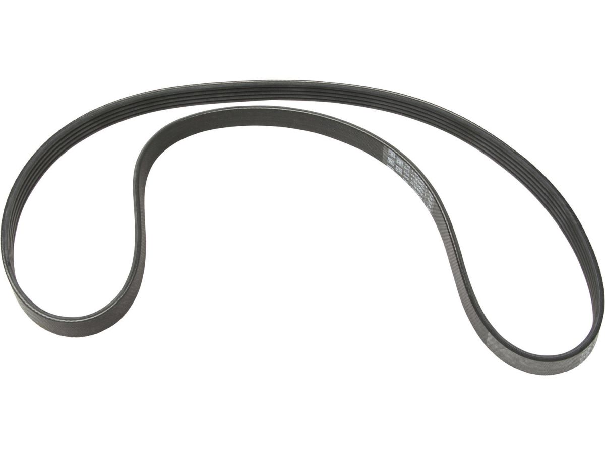 Continental Other Serpentine Belts SG005 Item Image