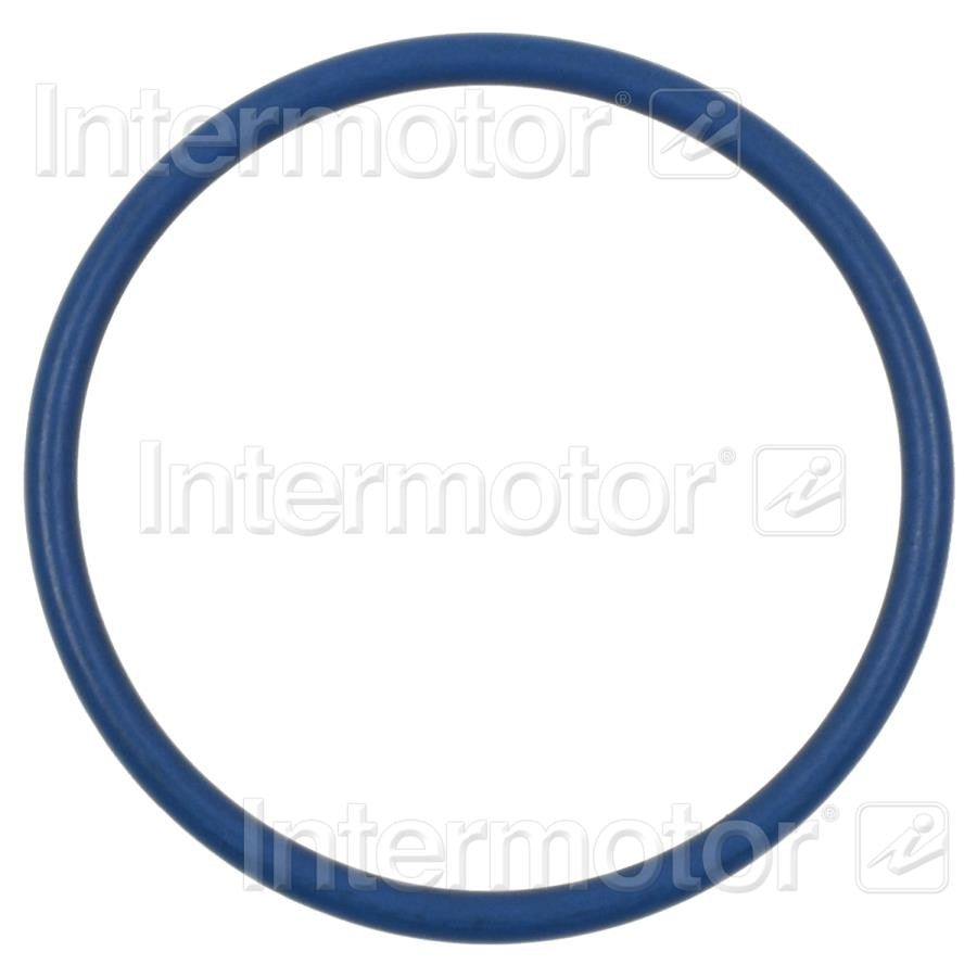 Intermotor Fuel Pump O-Ring  top view frsport GDR601