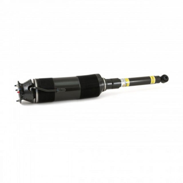 Arnott Industries Suspension Strut Assembly