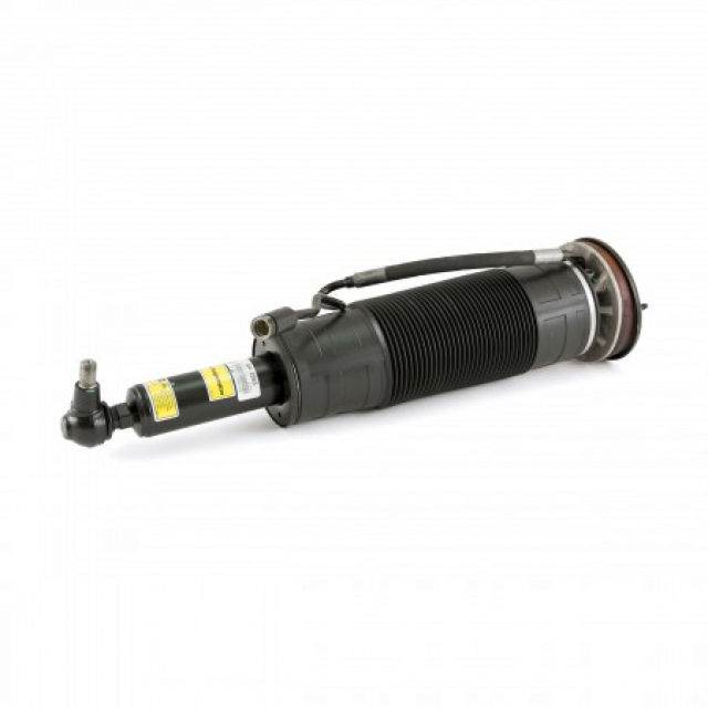 Arnott Industries Suspension Strut Assembly