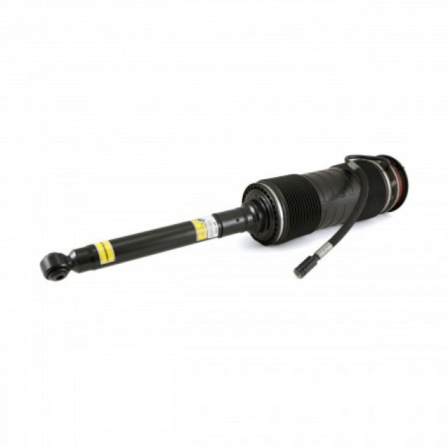 Arnott Industries Suspension Strut Assembly