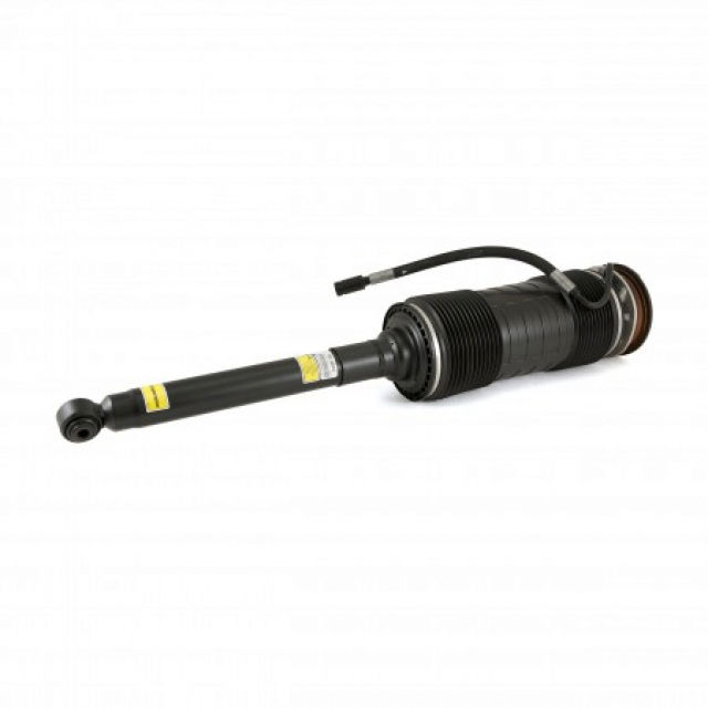 Arnott Industries Suspension Strut Assembly