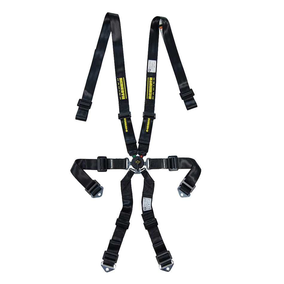 Schroth Racing 6pt Harness Profi 2x2 Pull-Down Lap SRBSR91152PDO-6
