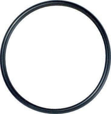 CARQUEST Caps and Stats Engine Coolant Thermostat Seal  top view frsport 27271