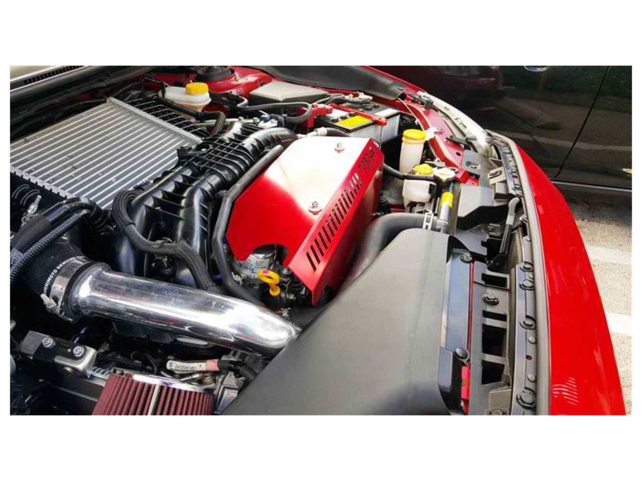 Torque Solution Engine Pulley Cover (Blue): 15+ Subaru WRX / Forester XT 14+ FA20DIT