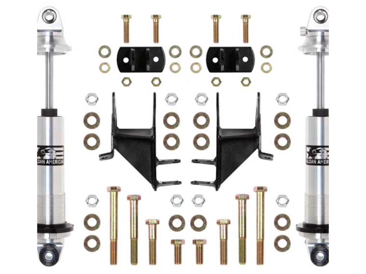 Aldan American Coilover Spring and Shock Assembly