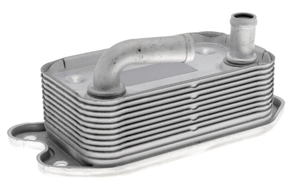 vemo engine oil cooler  frsport v95-60-0006