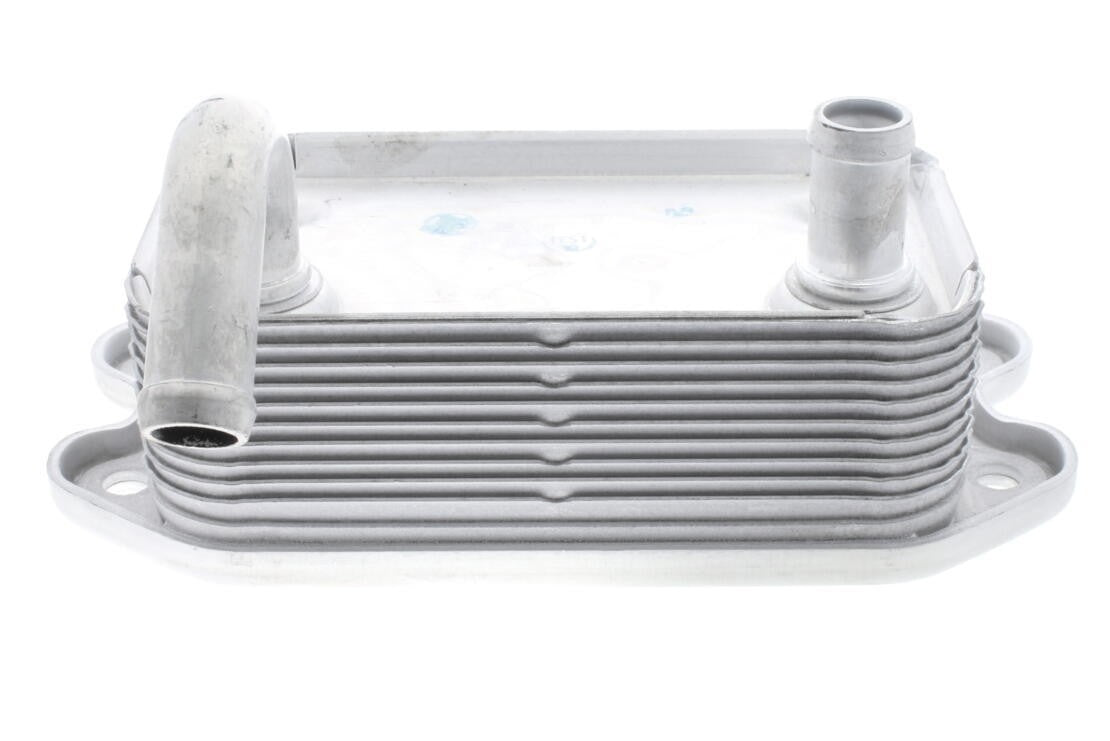 VEMO Engine Oil Cooler  top view frsport V95-60-0008