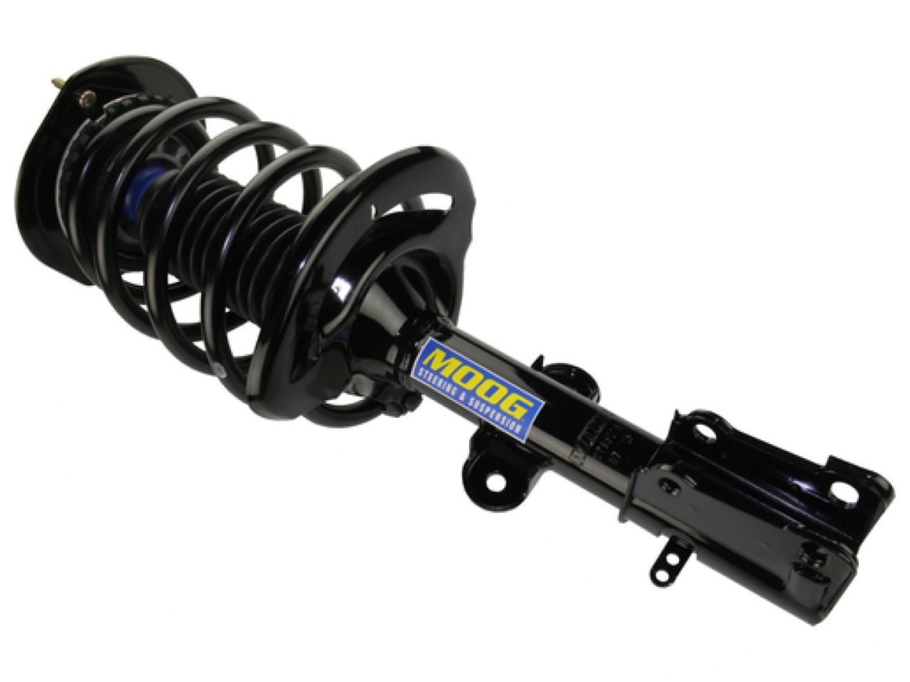 Moog Strut and Coil Spring Assembly