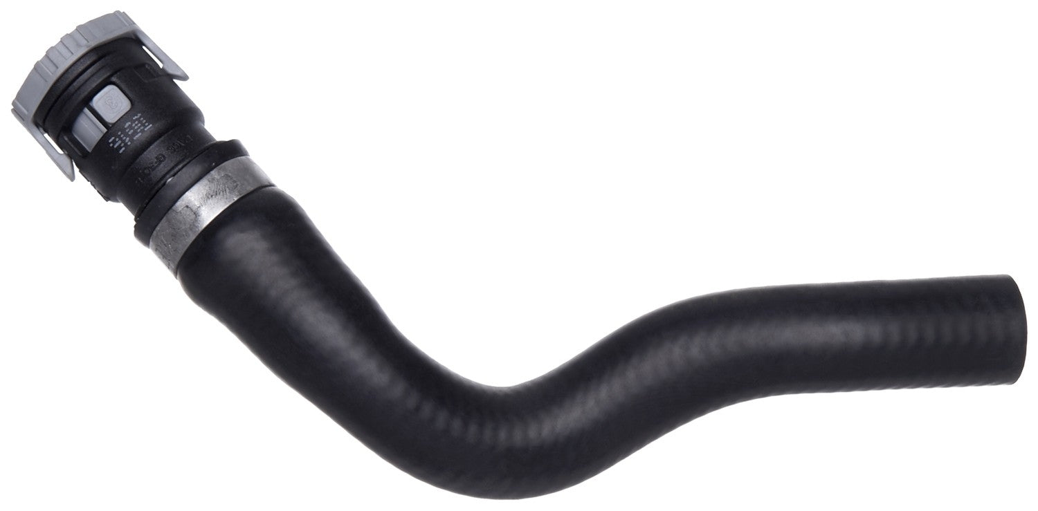 gates radiator coolant hose  frsport 24604