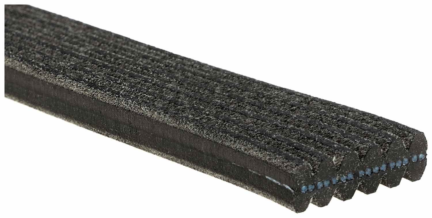 gates serpentine belt  frsport dk060470