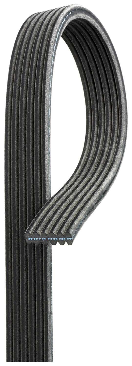 Gates Serpentine Belt  top view frsport DK060814