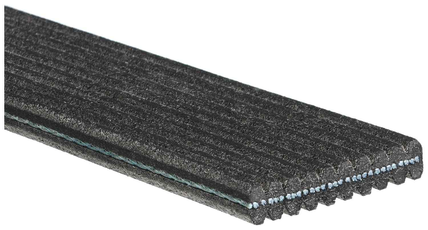 gates serpentine belt  frsport dk100672