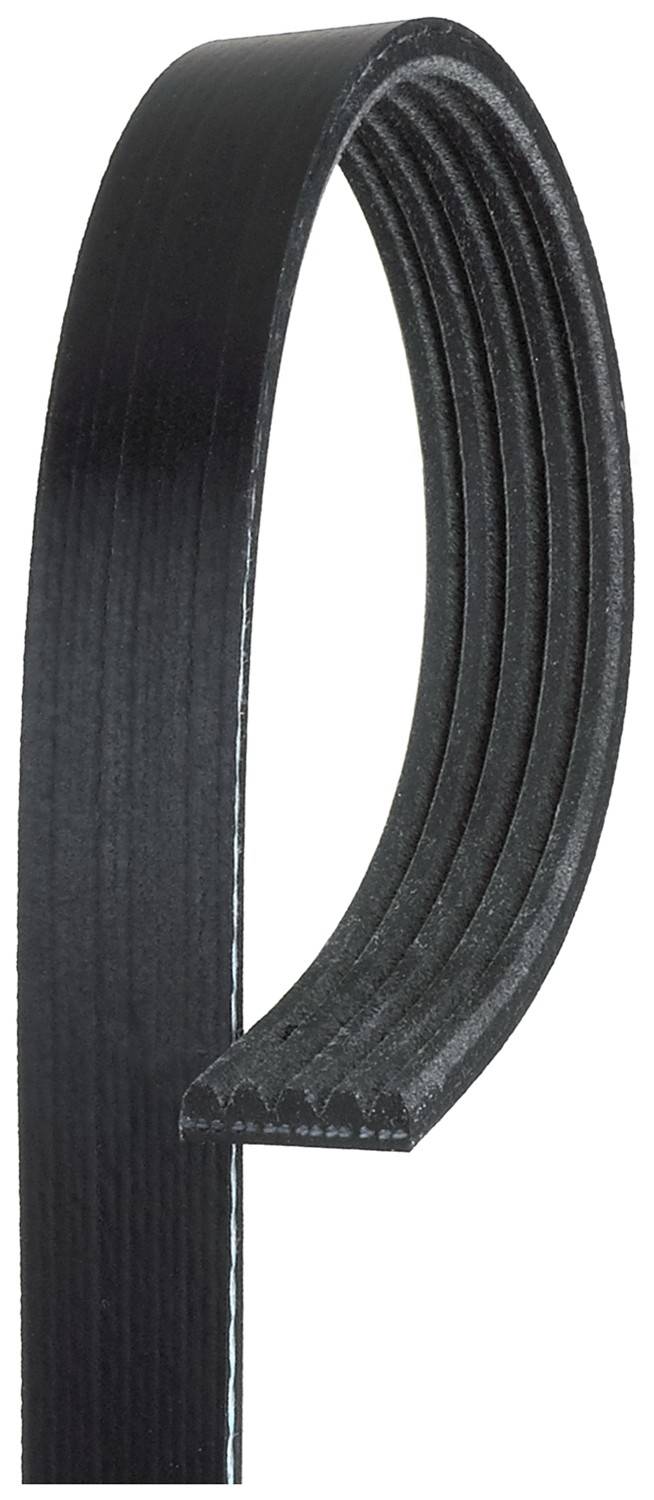 Gates Serpentine Belt  top view frsport K050685