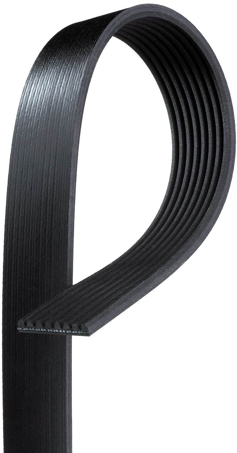 Gates Serpentine Belt  top view frsport K080803