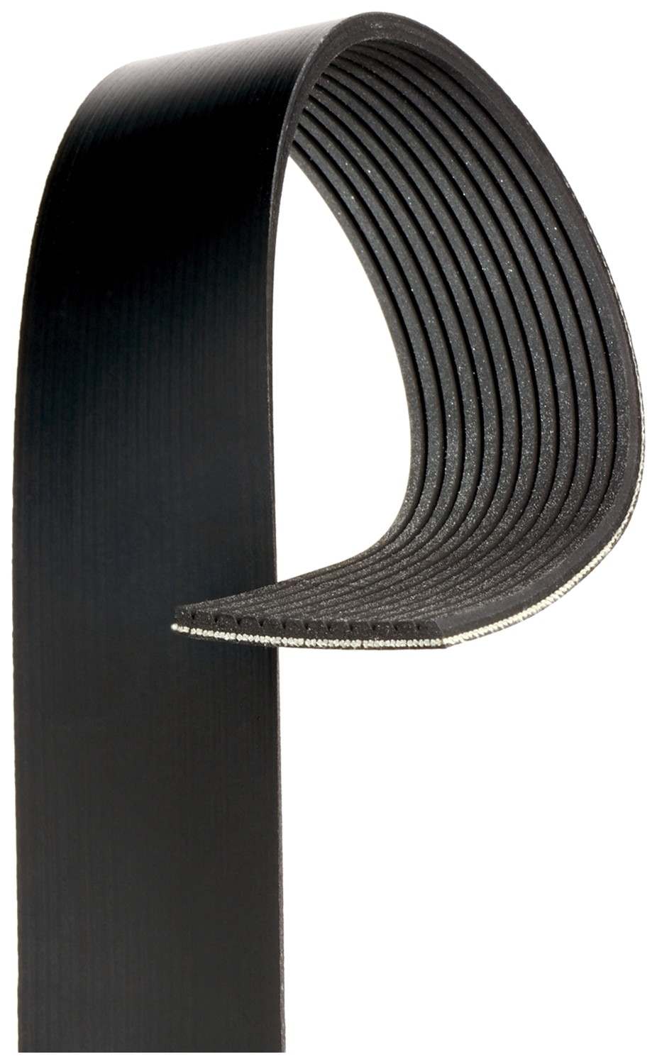 Gates Serpentine Belt  top view frsport K120665RPM