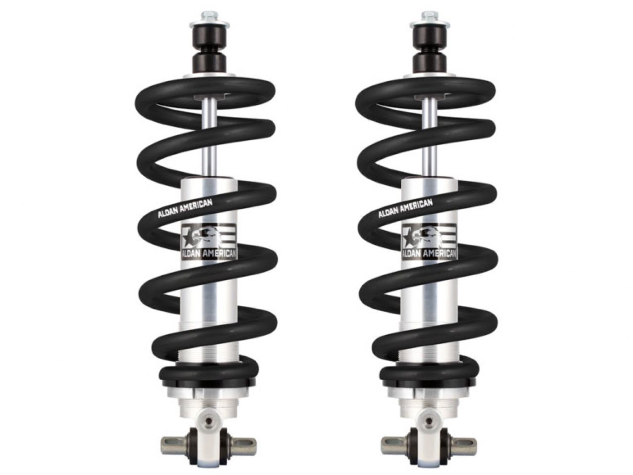 Aldan American Coilover Spring and Shock Assembly