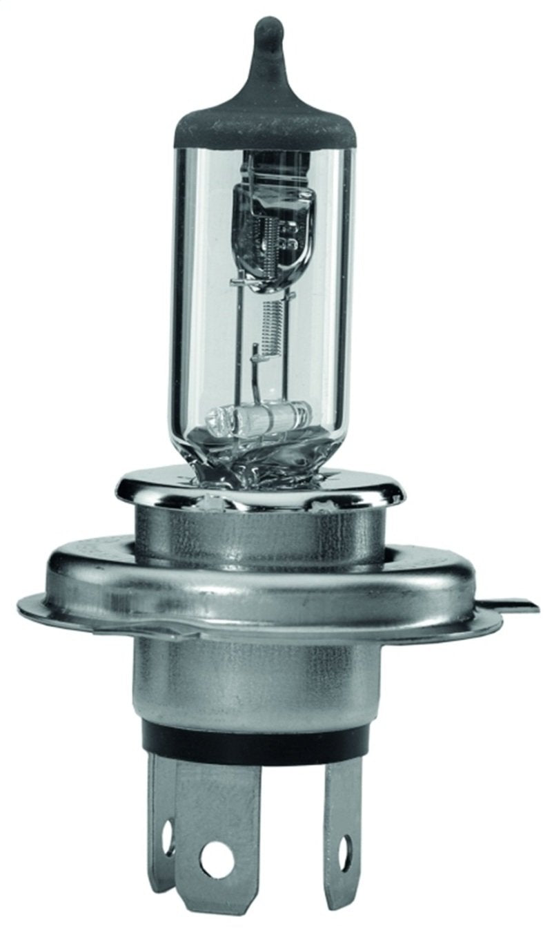 Hella Halogen H4 12V 60/55W Bulb H83140101 Main Image