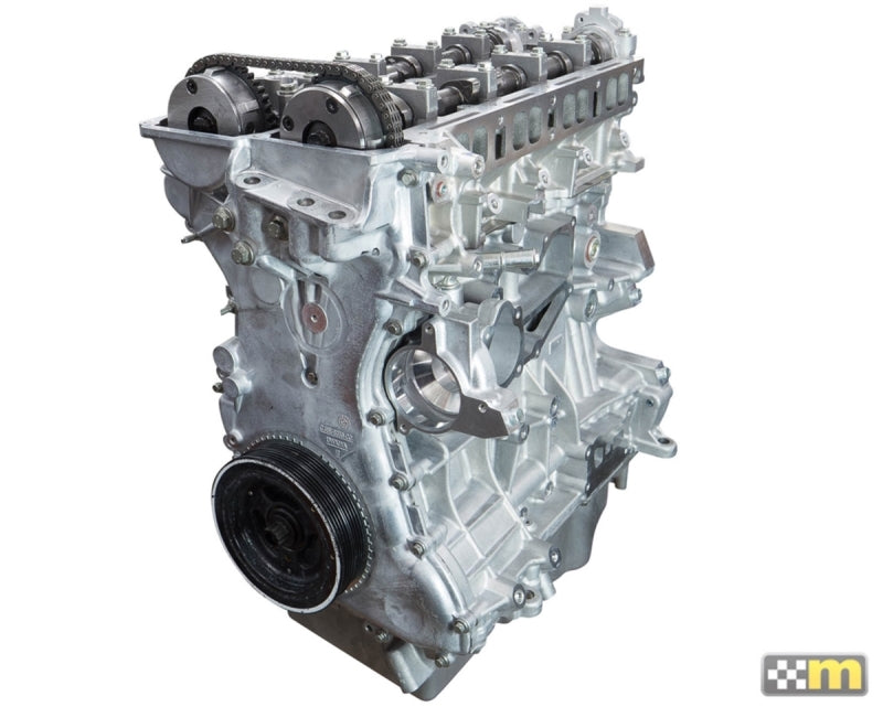 mountune 16-18 Ford Focus RS 2 .3L High Performance Long Block N1 6069-LB-230