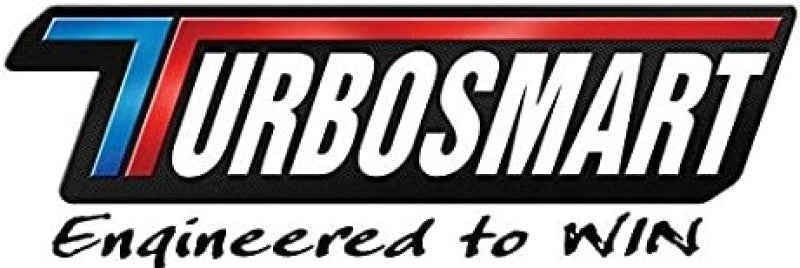 Turbosmart TS Logo Sticker Coolour 350x100mm TS-9007-1012