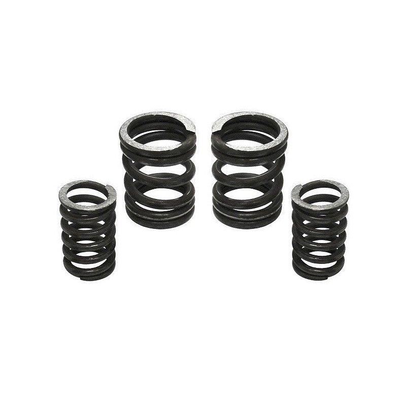 Industrial Injection Dodge 5.9L Cummins 12V 5000 Governor Spring Kit 232702 Main Image