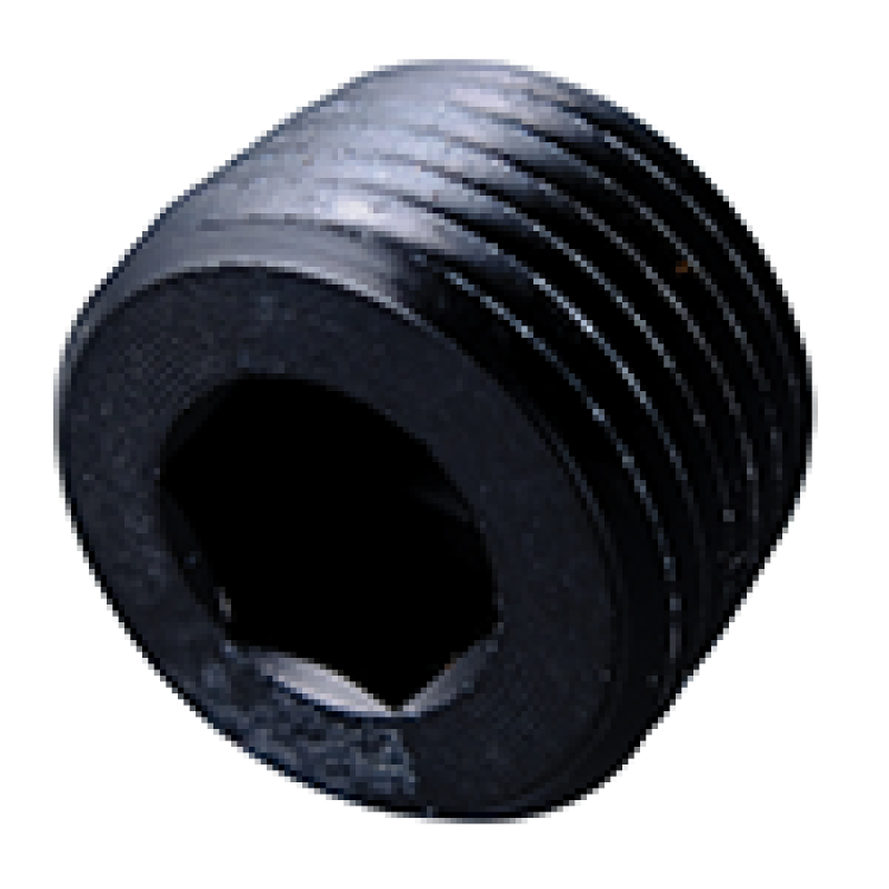 Fragola 1/8 NPT Pipe Plug- Internal Black 493202-BL