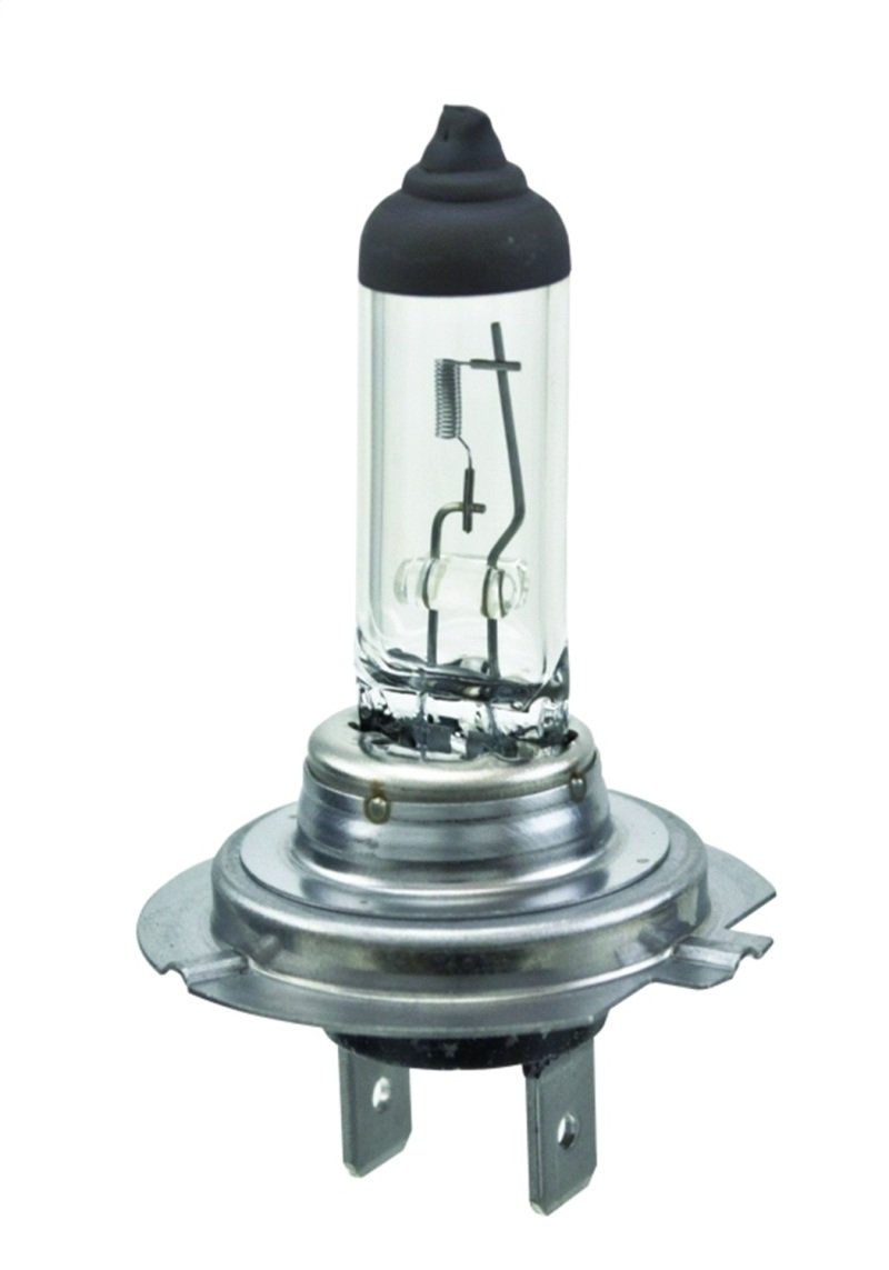 Hella Halogen H7 Bulb H7 Main Image