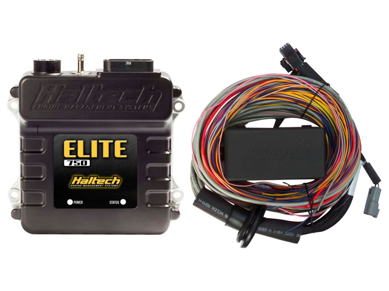 Haltech Standalone HT-150604 Item Image