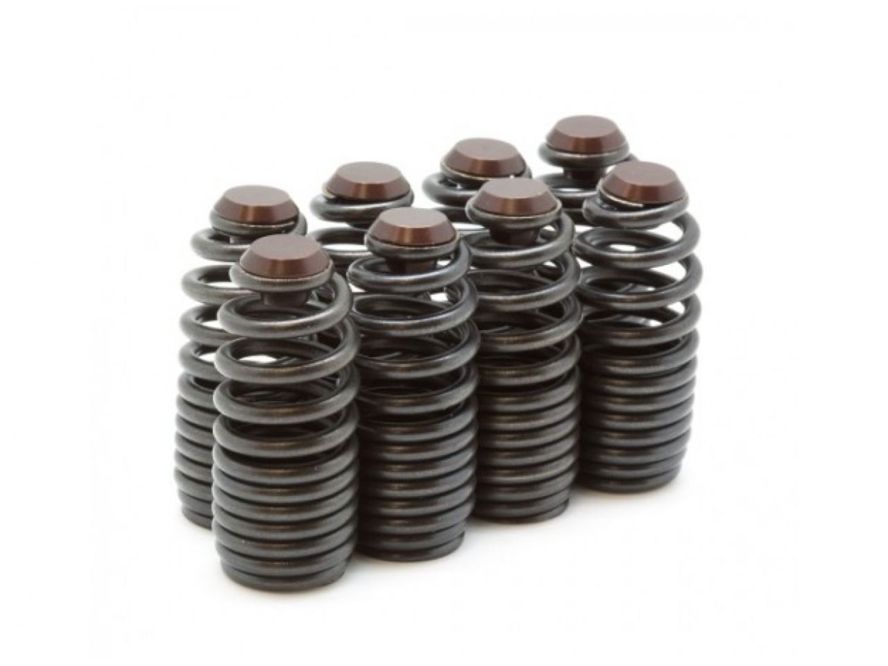 BLOX Racing Valve Springs BXPT-11300 Item Image