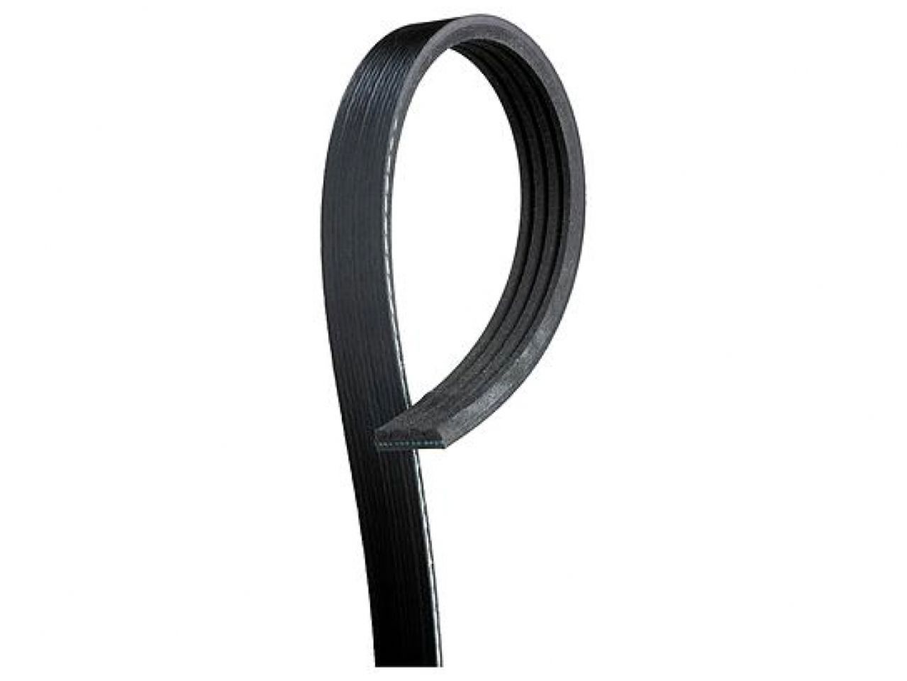 Gates Other Serpentine Belts K040373SF Item Image