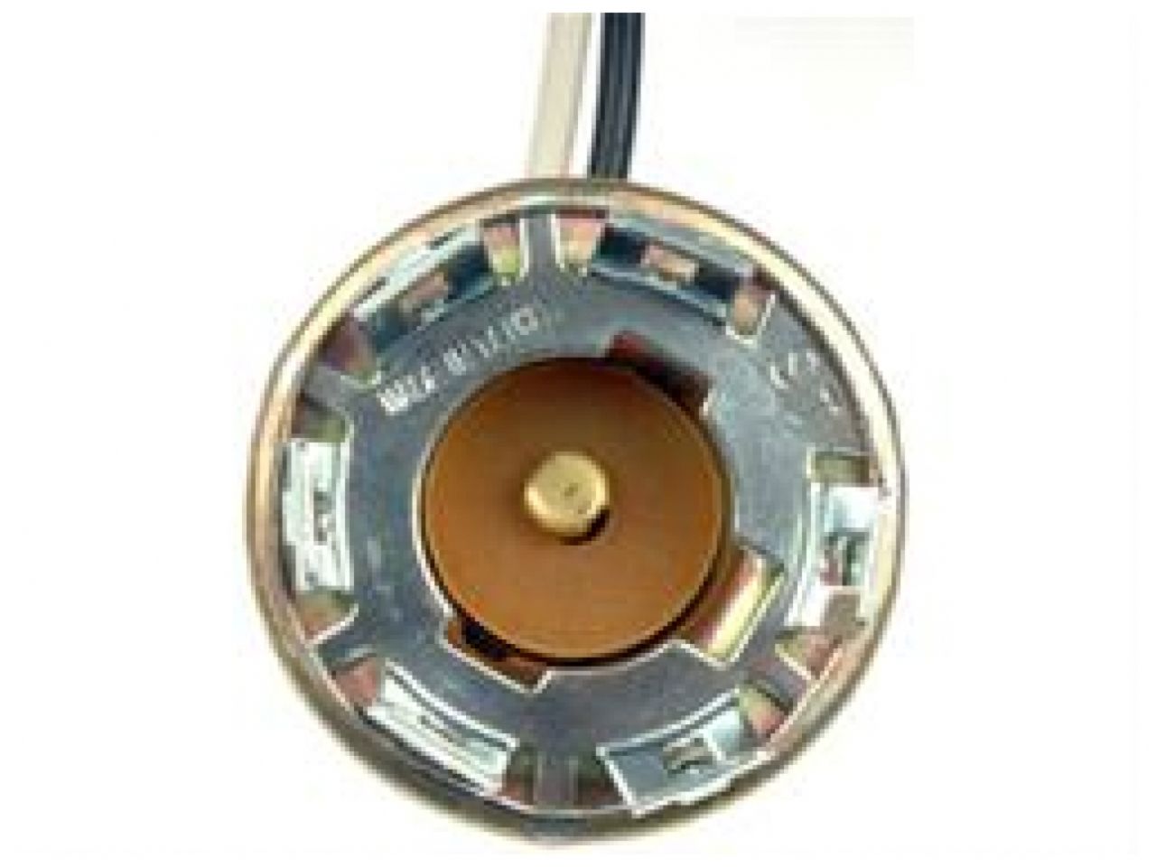 Dorman 2-Wire Universal License Plate Back-Up Socket Lighting