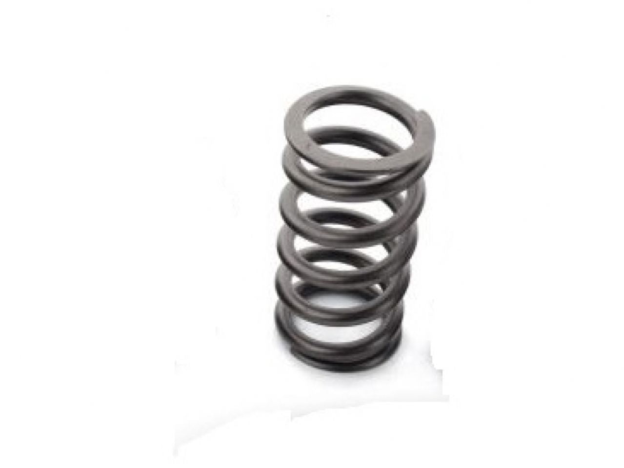 Ferrea Valve Springs S10134 Item Image