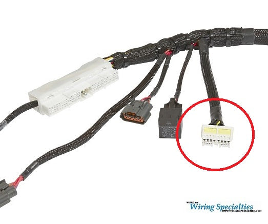 Wiring Specialties WS PRO Harness Interface Connector (Main Harness Side)