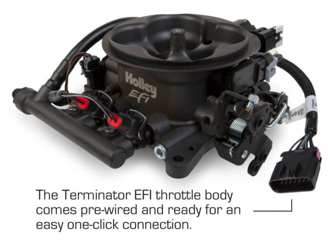 Holley Terminator Efi Kit (Hard Core Grey TB)